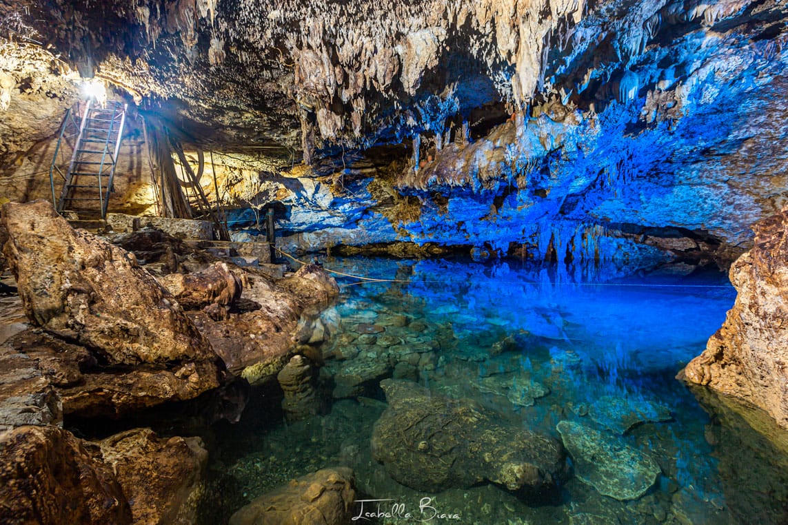 The 20 Best Homun Cenotes: The Complete Guide [2023]
